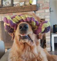 1c65e0f41068b02f9da51cbf1cee2578_194x207