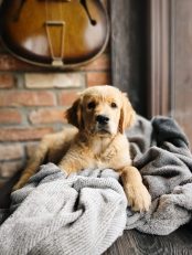 1ca674922594ab861779a6d8061e3fc9_174x231