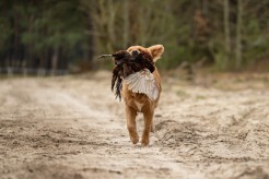 1ce8698c4adeb663b4bcd110bd11a187_246