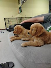 1cf510a3f9f0c487d25b15a1f585fa3e_174x232_fill