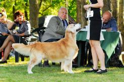 1d04f8b85444ababc59eee70cb523cf1_246