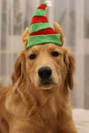 1d0898ead45bdc0fb7a3d0839ab0b189_130x194