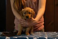 1d58edfabd39fb3e3a4eca624dc2bc71_194