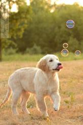 1d8bc51d2015b8b7e572af09ed351c2d_164x246_fill