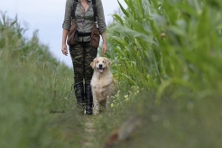 1d92abcc837bb5133fc2767e209db503_246