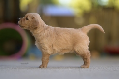 1db9a691be125eb09e68d27463f2d6b1_246