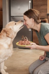 1dbc043e3c543602d87853167a4bb1cf_164x246