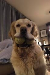 1df9a30ef1691df92a760b50b55bd4c0_164x246