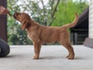 1e2183719068f1a7be41d81fdfaac3c5_183