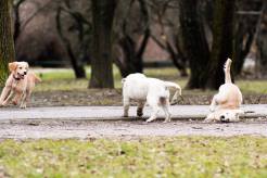 1e3d173d2ba99ec77bec2a925dcb2e94_246x164_fill