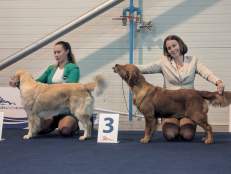 1e4119088d109457d13258f21d0592fa_231