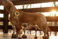 1e9d6d91e1b500950db765add4521424_246x164_fill