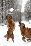 1ec945b9d06100e850685d171b7023d1_130x195