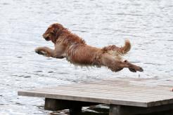 1efc92d231681c05825d72498a1be4d6_246