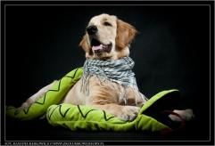 1f1aae5095965a303470ad8284eb6c47_241