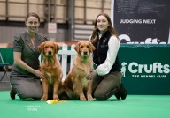 1f3005e6d4d0d098b54b66901e8441d2_192