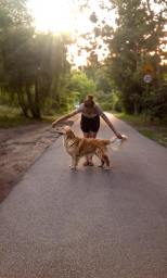 1f373a0071cb6d34e0a7e050e42a0cd5_154x256