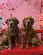 1f3a140bef1813f3502b0bd284e21663_142x181