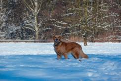 1f436b48978966ee284bfe012294b1e3_245