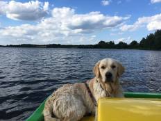 1f43ec7273b54c7c4deb02027f64d2d5_232x174_fill