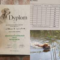 1f45b28d94a6c7a82c2748f76c5a7152_200x200_fill