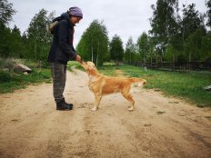 1f47f316aad480e8bbb3c5022bc47088_232x174_fill