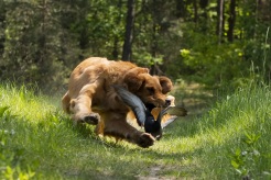 1f8c80bf870078472dc681aa99bee03f_246x164_fill