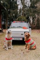 1fc495ec6884c39123a49916ca65d814_130x194