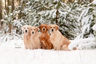 1fc95a6e671fb4d3acec2c357ea2e33d_195