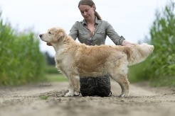 1ff147b147cb36fbbcb56f27384f10be_246