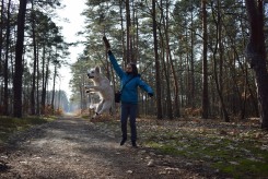 20119f5d7f8d1248d6ed170829141804_245