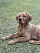 20189cd4f4bdf561d1a5de27e5fa6ca7_138x183