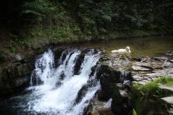 20d3958af4db36b235db5e6ee6b8a944_246x164_fill