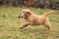 20d88e7a81d73d2fd408ccd5571f5025_195x130_fill