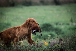 21056d7fa67f3fa800a38b2300c379f5_246