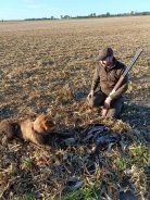 212ca2c9d2acdd8d15992ae7041f72ac_138x184_fill