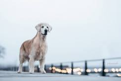 21d8dcb6f51bd9c47c9f96ae8c444f91_245