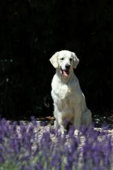 23212c5e061182fb551d630224198b14_164x246_fill