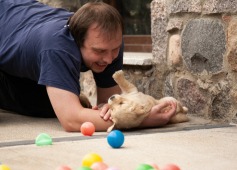 23299f50bda19cb671735ca15e37de35_237