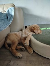 2336ea81cf8d9687fd1e8d0fc1fa61bc_174x232_fill