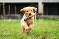 23508fd799c38ff41f243b78db441709_195x130_fill