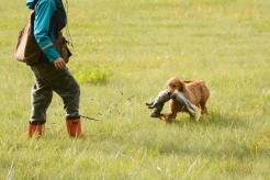 2353761a45b666e2ce3f1fab8ad7e046_246x164_fill