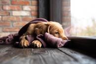 2359501641656e6a07a680c08145f92e_195x130_fill