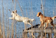 2437a39c1ace4fd508691753546acb18_194