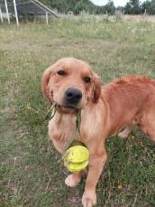 245d2dc077bdcfeb5d34d02bcd5ec52a_172x229