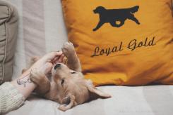 24e043b3b3f0161dfc68620e89b4be56_245