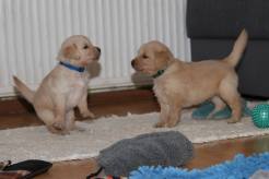 24fe7e2733e14a5d360e70a47b3cd84c_246