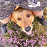 2627c501882bfe145d43fa8ec6363464_160x160_fill