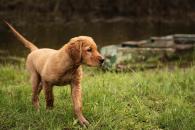 263611b08f3c4582f47dc27e4d516870_195x130_fill