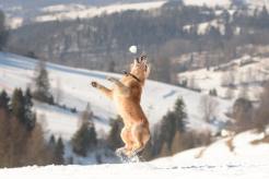 264c47f54e2e88af3cb6fa264eee97fa_246